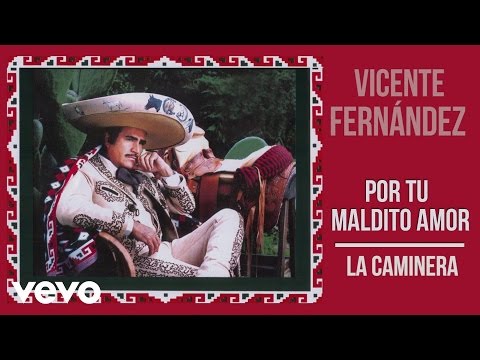 Vicente Fernandez - Dame la cuenta cantinero
